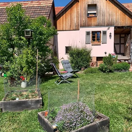 Nocleg ze śniadaniem D'hotes 