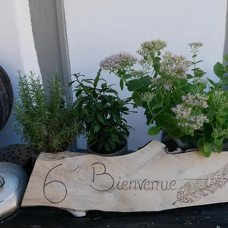 Nocleg ze śniadaniem D'hotes 