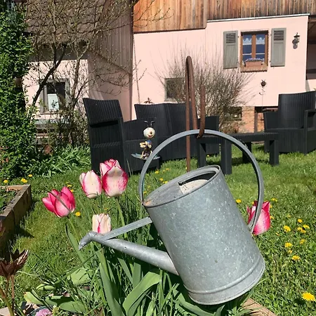 Nocleg ze śniadaniem D'hotes 